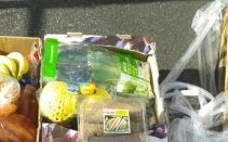 ��ȸ�������� Ǫ�峪��