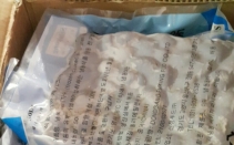 ��ȸ�������� Ǫ�峪��