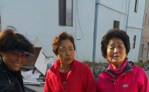 ��ȸ�������� Ǫ�峪��