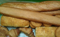 ��ȸ�������� Ǫ�峪��