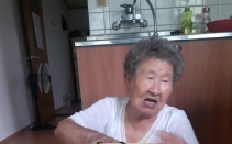 ��ȸ���� ���� �簡�桦